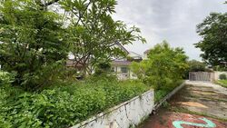 Rosyth Avenue (D19), Detached #508532751